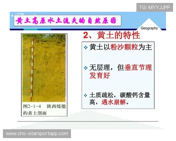 中国足球俱乐部治理结构与财务公开制度建设，足球俱乐部管理架构