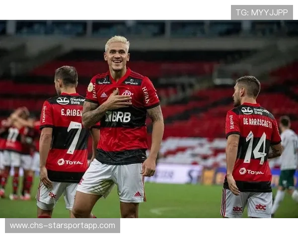 弗拉门戈比赛经验丰富，节奏把握更稳，弗拉门戈近期战绩