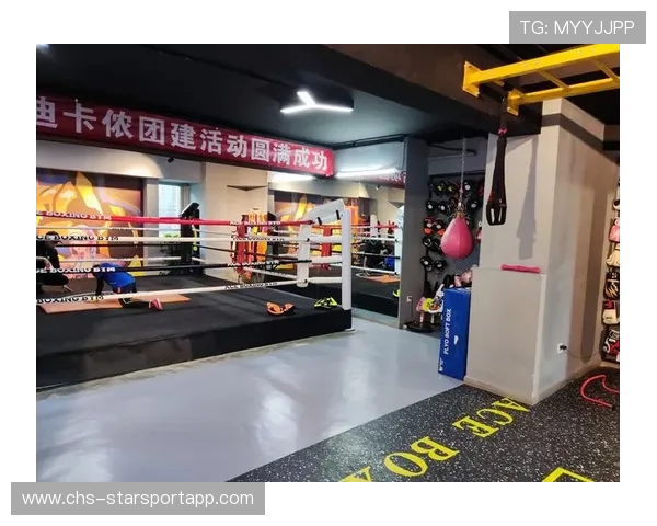 国际拳击选手退役养老保障试点项目进展报告,拳击选手退役后