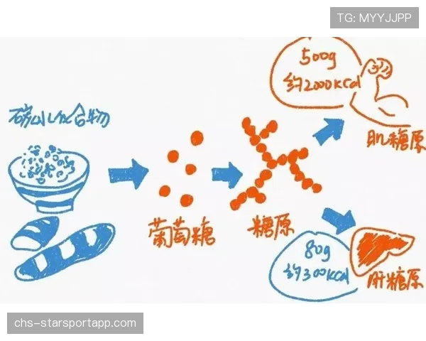 运动营养中碳水化合物周期摄入对表现的影响