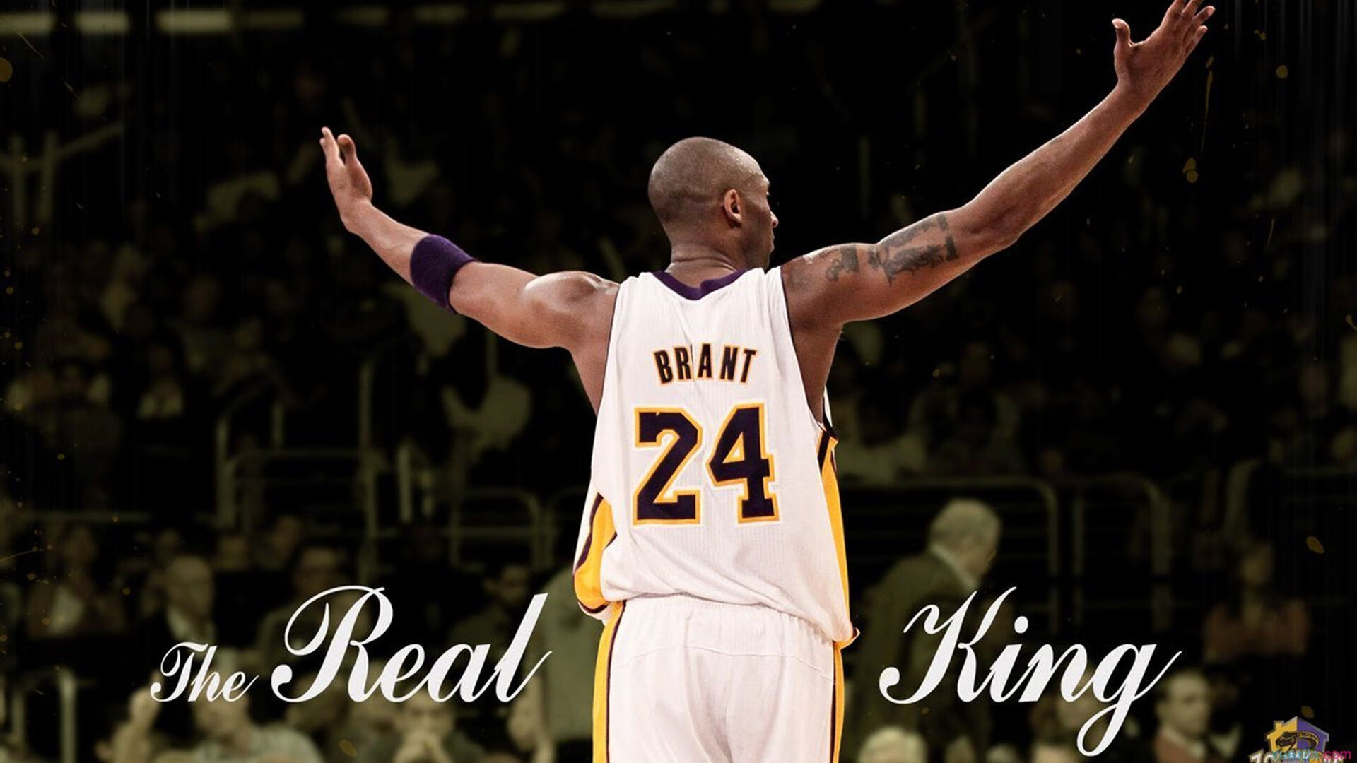 中国女排组织全员观看奥运经典比赛,看中国女排奥运会